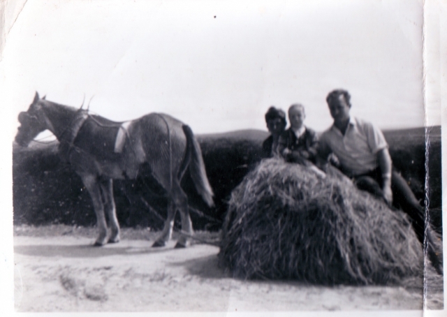 1966 Anna, Mike with Willie on a haystack