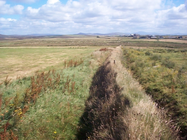 A wall in Gladree