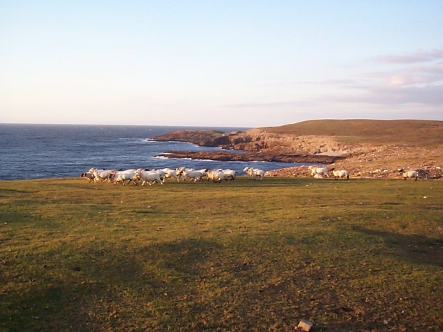 Cliffs areounf Glenlara