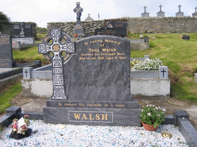 Walsh Tony